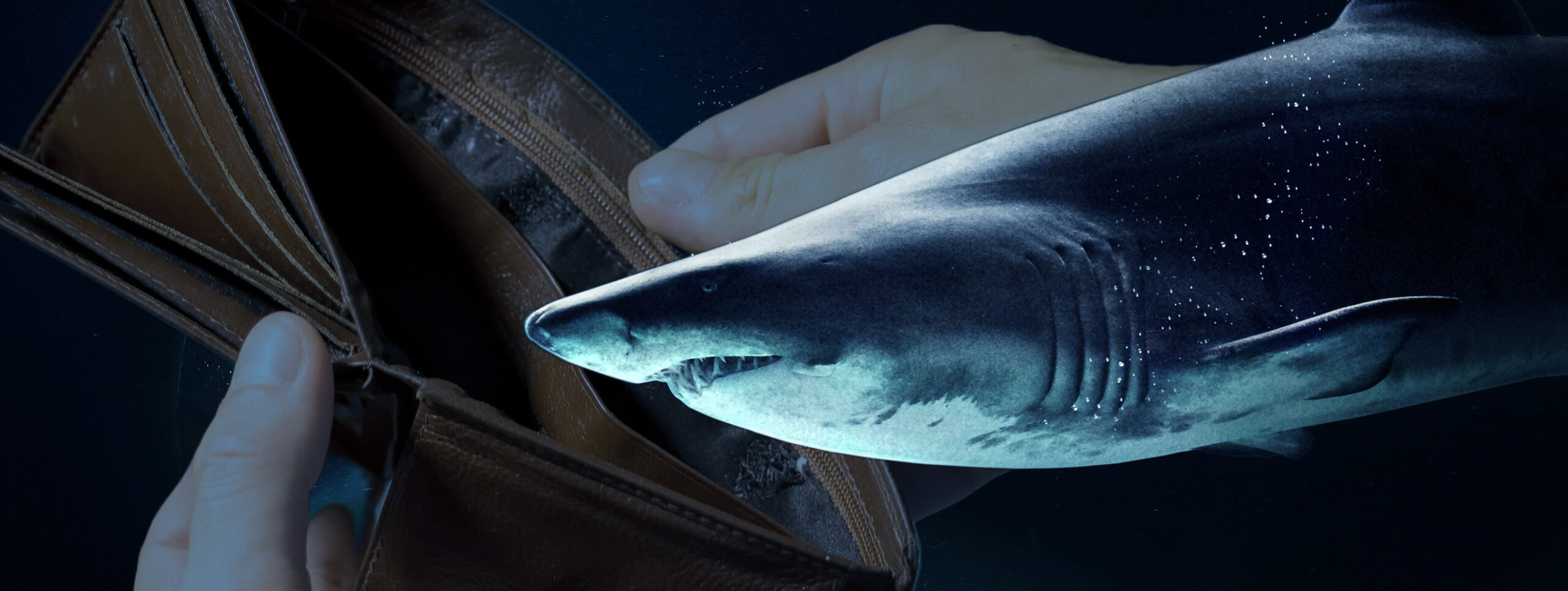 Predatory Lending Shark